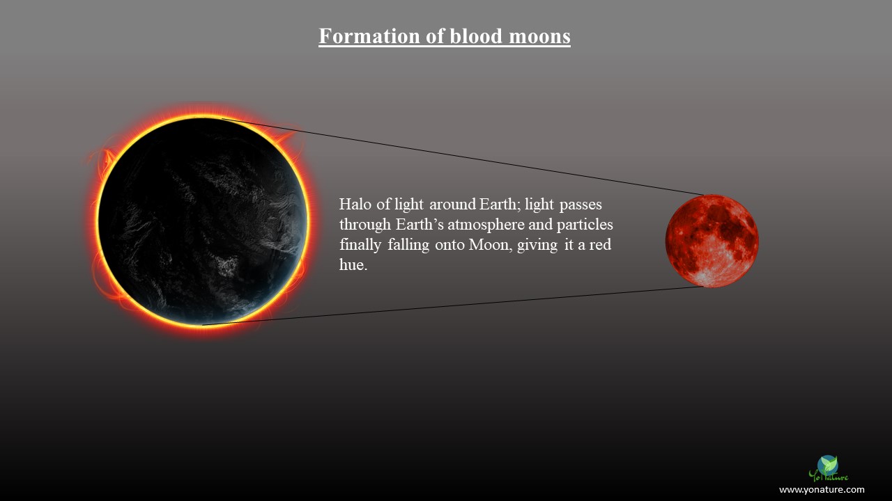 blood-moons-explained-astronomical-and-spiritual-significance-yo-nature