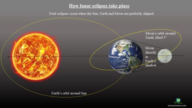 Blood Moons Explained – Astronomical and Spiritual Significance - Yo Nature