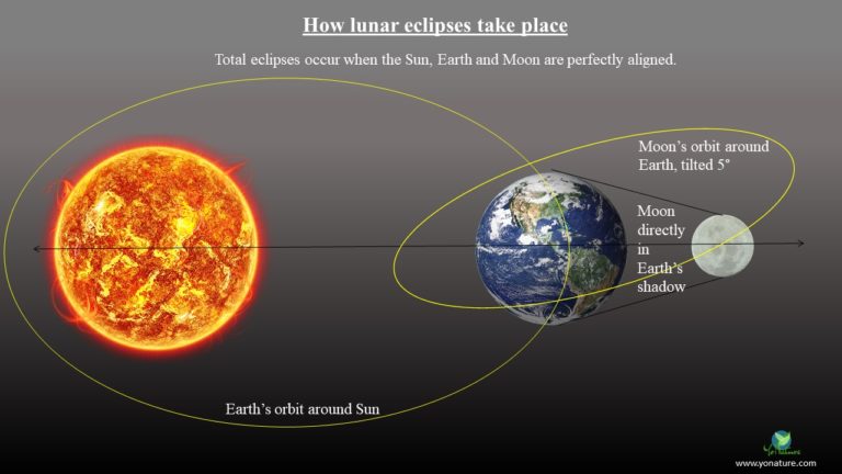 Blood Moons Explained – Astronomical and Spiritual Significance - Yo Nature