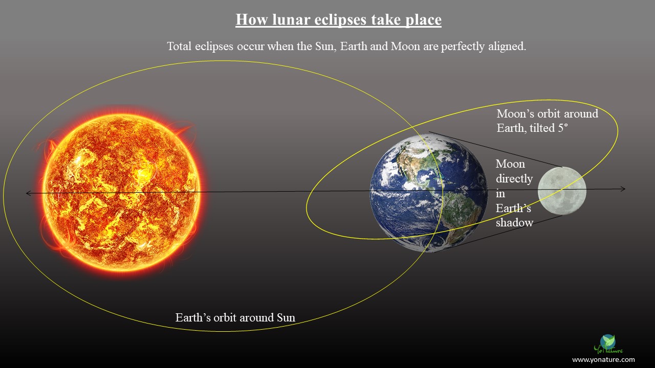 How lunar eclipses take place. 