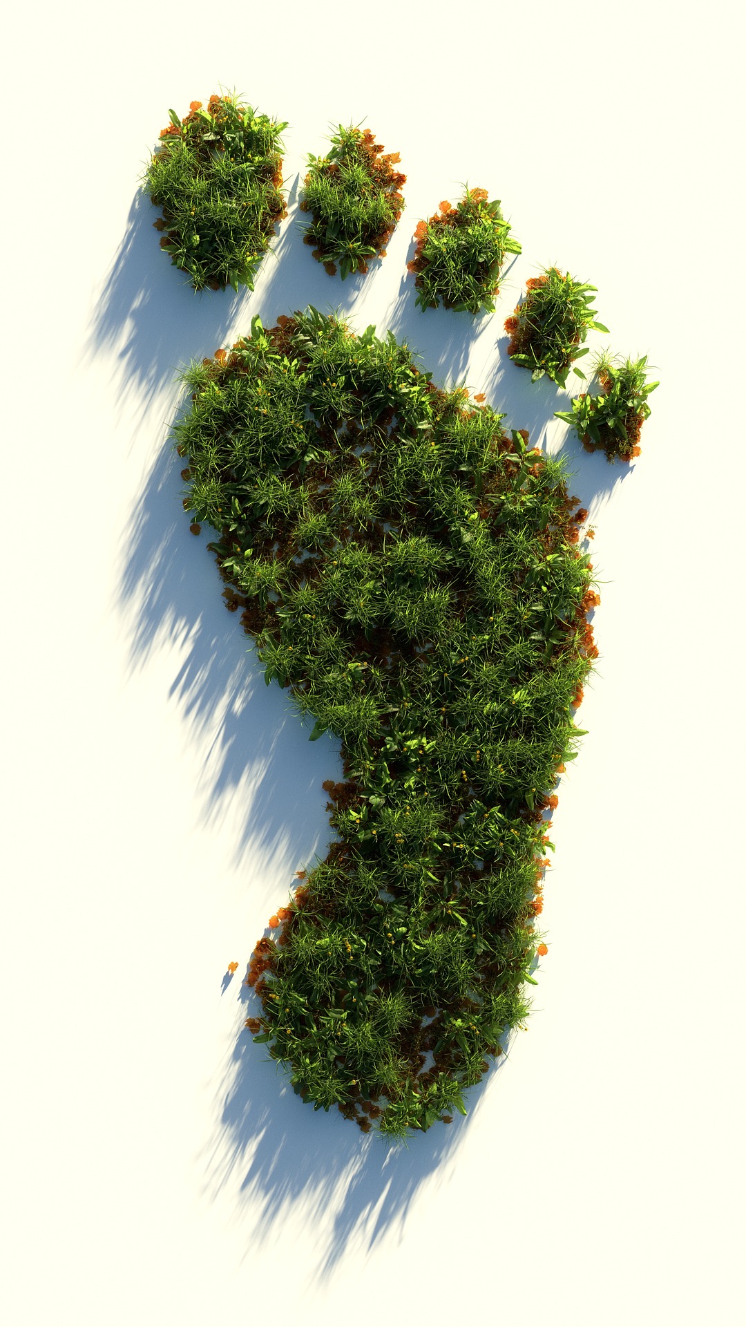 The Concept Of Ecological Footprint Explained Yo Nature