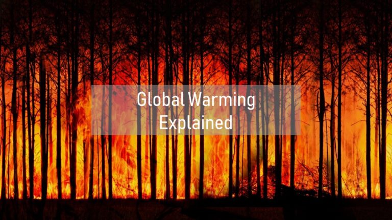 Forest fire due to global warming, orange flames behind black trees with words global warming explained written