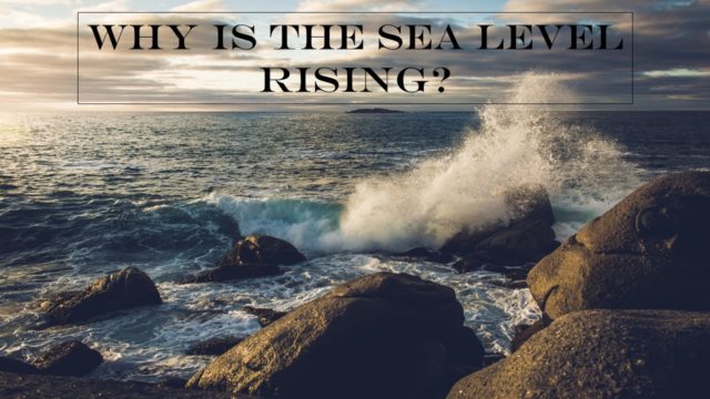 why is sea level rising in much of the world