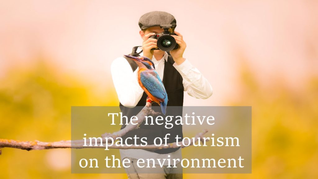 negative impacts of tourism in africa