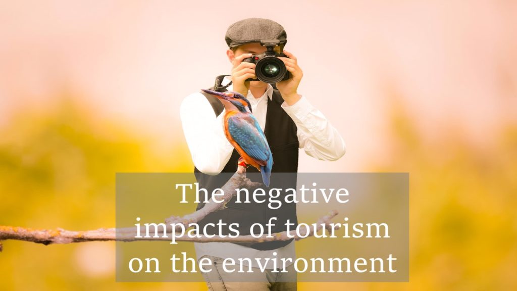 Negative Impacts Of Tourism On The Environment Yo Nature