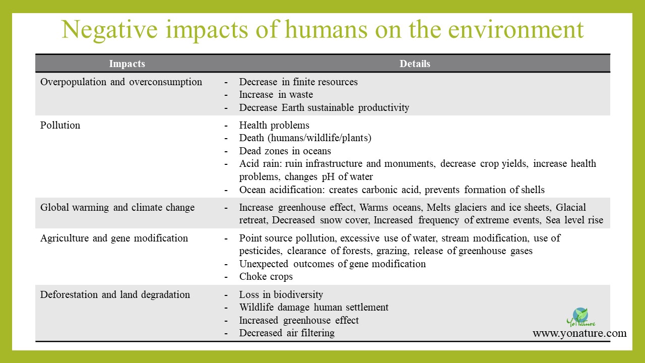 Negative impacts of humans on the environment - Yo Nature