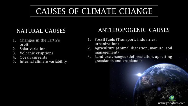 Climate Change: Natural And Anthropogenic Causes - Yo Nature