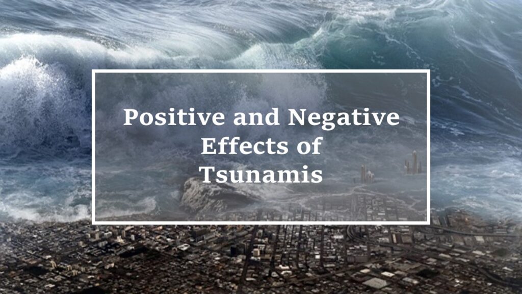 effects-of-tsunamis-positive-negative-examples-yo-nature