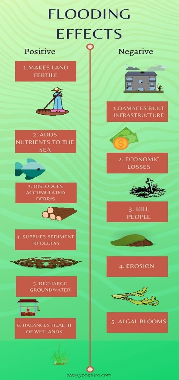 Effects of flooding Positive, Negative, Examples Yo Nature