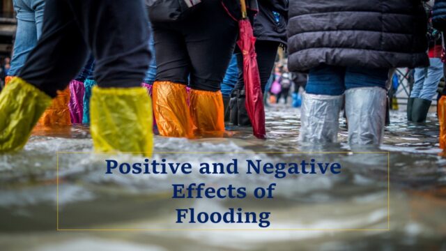 effects-of-flooding-positive-negative-examples-yo-nature