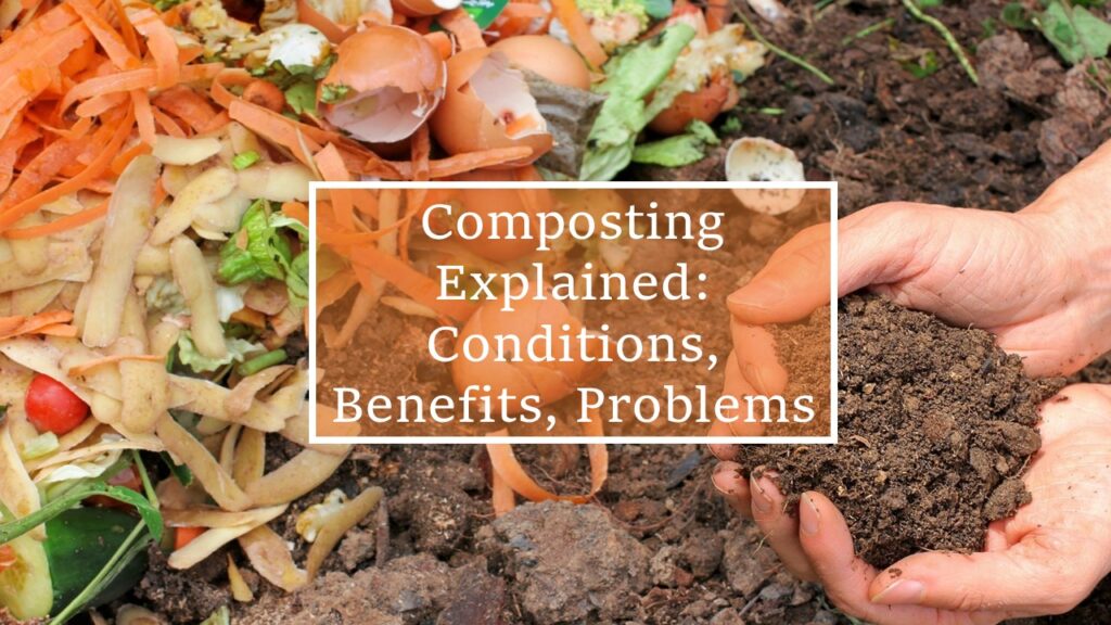 Composting Explained: Conditions, Benefits, Problems - Yo Nature