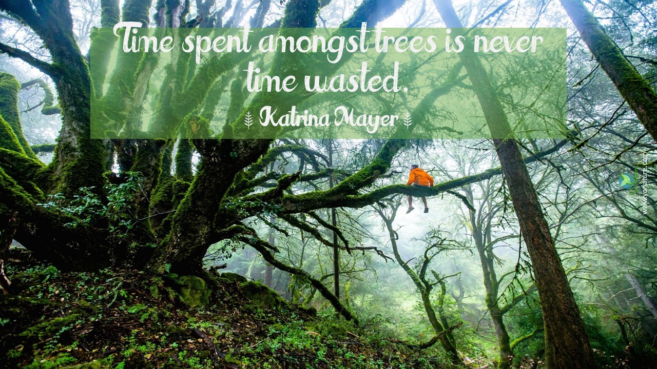 Nature quotes - Yo Nature